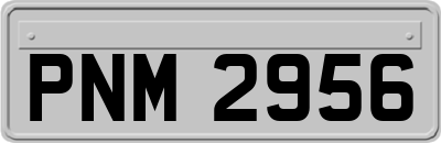 PNM2956
