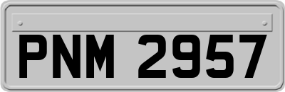 PNM2957