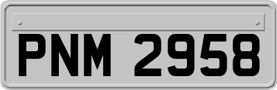 PNM2958