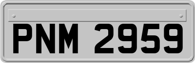 PNM2959
