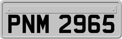 PNM2965