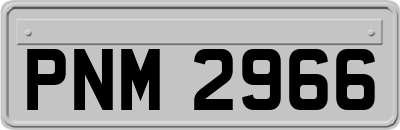 PNM2966