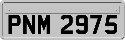 PNM2975