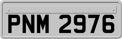 PNM2976