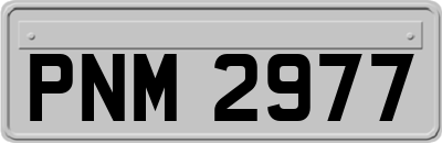 PNM2977