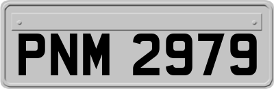 PNM2979