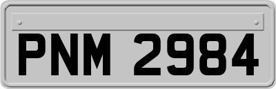 PNM2984