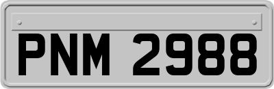 PNM2988