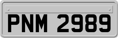 PNM2989