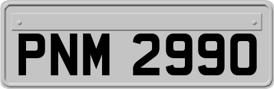 PNM2990