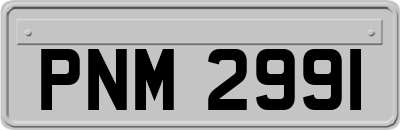 PNM2991