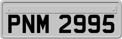 PNM2995