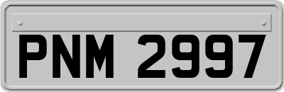 PNM2997