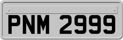 PNM2999