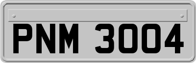PNM3004