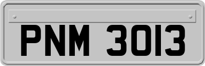 PNM3013