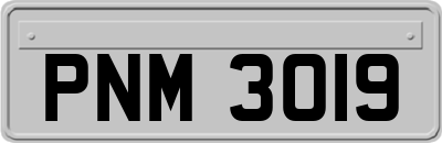 PNM3019