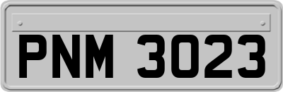 PNM3023