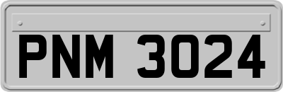 PNM3024