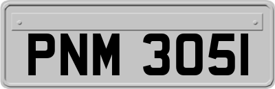 PNM3051
