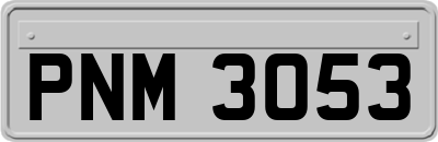 PNM3053