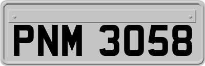 PNM3058