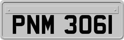 PNM3061