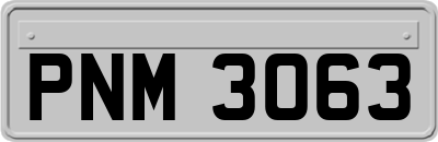 PNM3063
