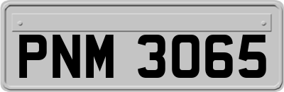 PNM3065