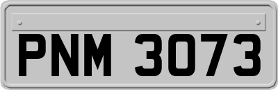 PNM3073