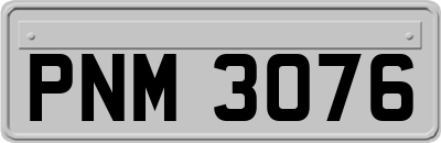 PNM3076