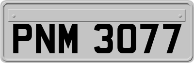 PNM3077
