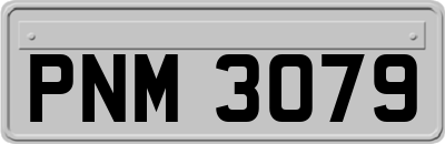PNM3079