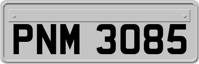 PNM3085