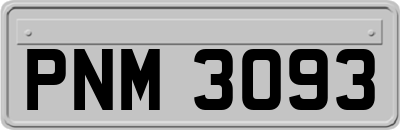 PNM3093