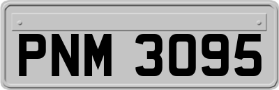 PNM3095