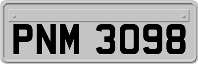 PNM3098