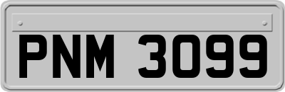PNM3099