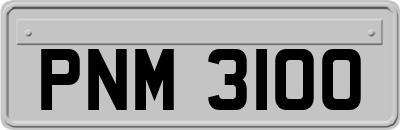 PNM3100