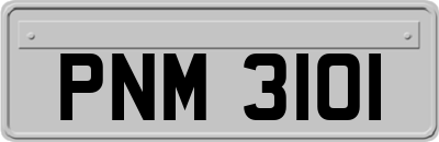 PNM3101
