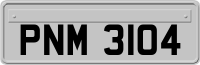 PNM3104