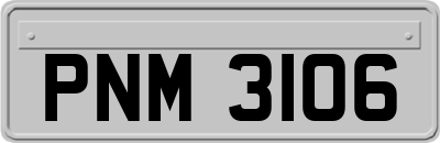 PNM3106