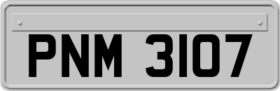 PNM3107
