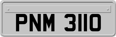 PNM3110