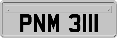 PNM3111