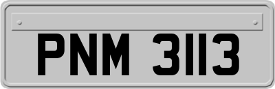 PNM3113