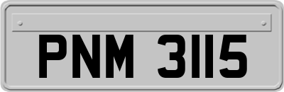 PNM3115