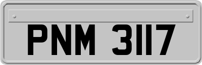 PNM3117