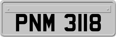 PNM3118