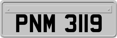PNM3119
